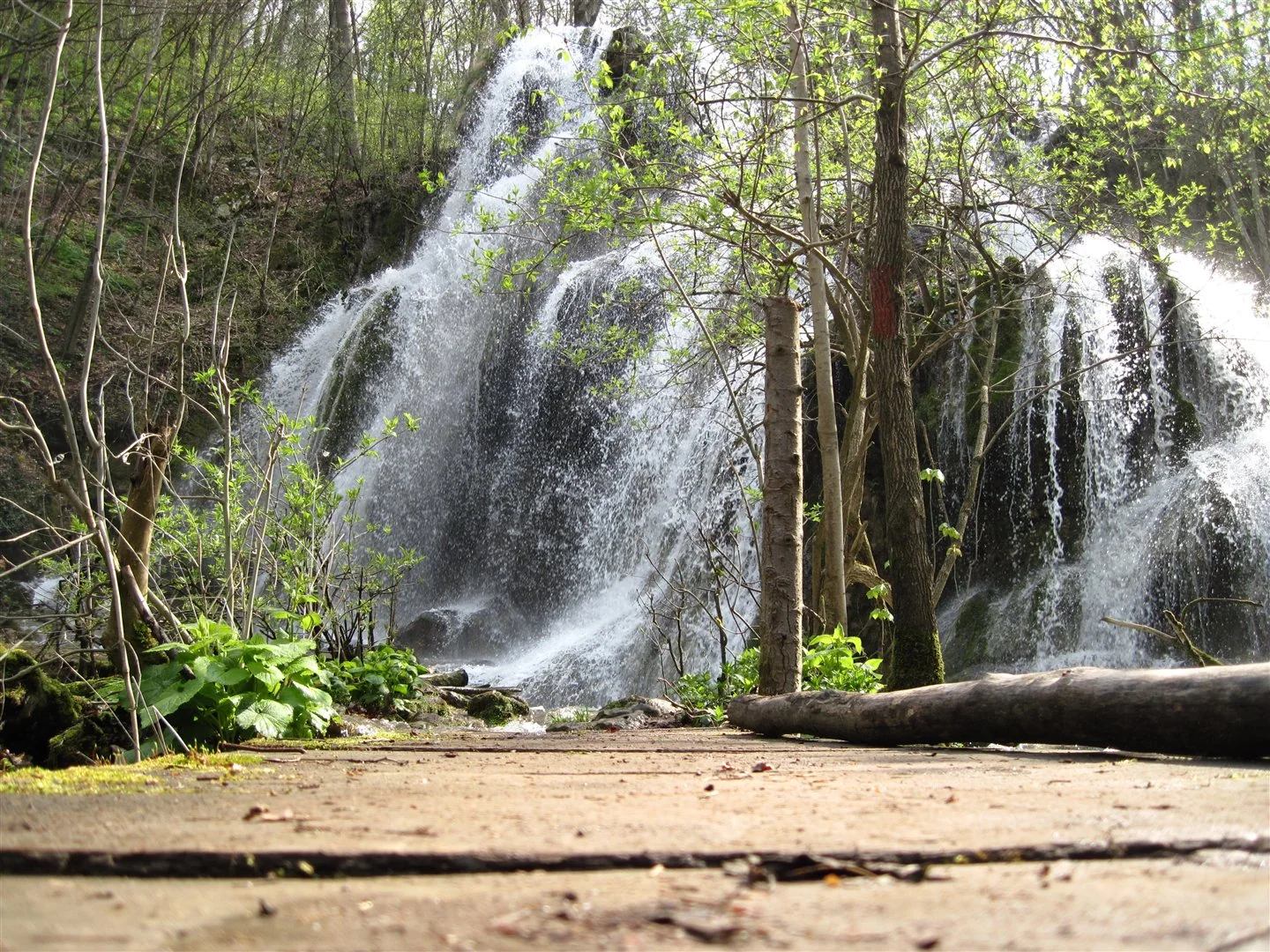 Broad Beușnița waterfall cascading over mossy terraces in the forest