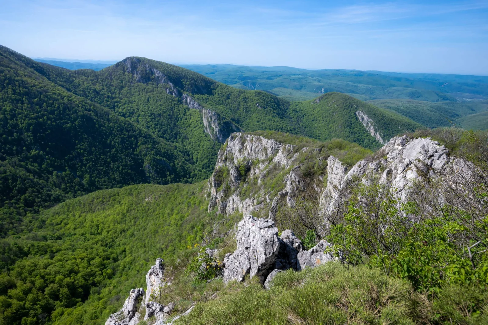 Panorama of limestone cliffs and wooded hills in the Beușnița area